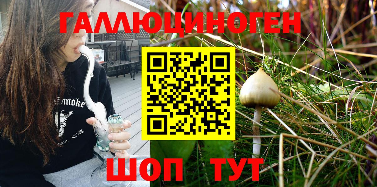 Сертолово  где можно купить   Вход с VPN  Галлюциногенные грибы Magic Shrooms 